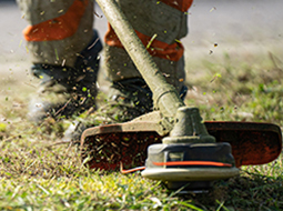 Garden maintenance Melbourne
